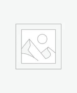 Nơi nhập dữ liệu